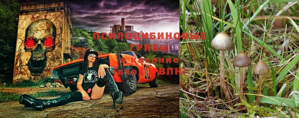 ALPHA PVP Нязепетровск