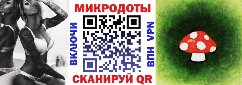 Купить  Ногинск  Псилоцибиновые грибы MAGIC MUSHROOMS 